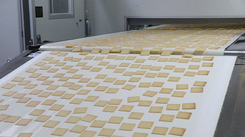 PA��Ѷ-��������