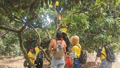 ���縣����PA��Ѷ��֯ժ��֦�