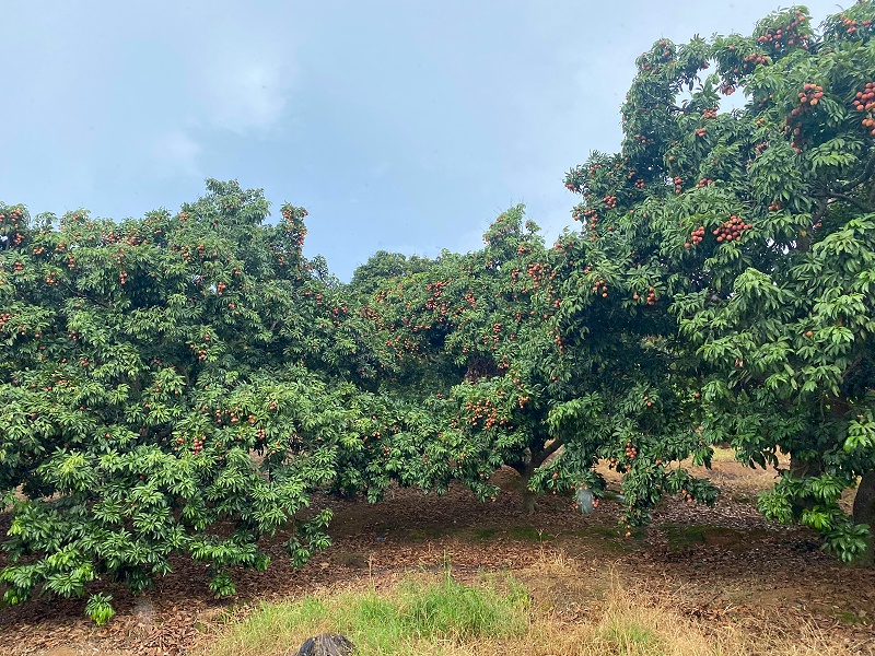 ���縣����PA��Ѷ��֯ժ��֦�